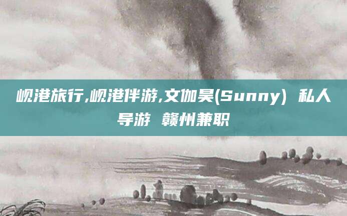 周口岘港旅行,岘港伴游,文伽昊(Sunny) 私人导游 赣州兼职