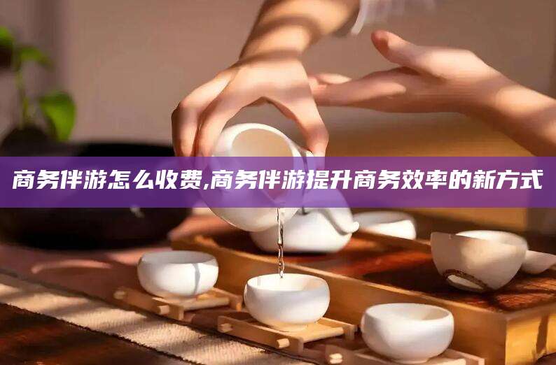 周口商务伴游怎么收费,商务伴游提升商务效率的新方式